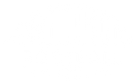 Gridiron Football Co